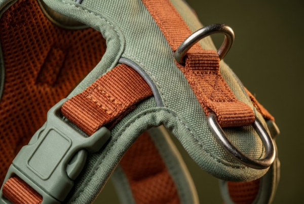 Y-Harness Anti-Traction Rembourré — Trail Pro