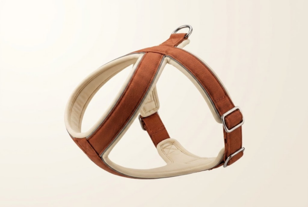 Harnais Canicross Cani-VTT — Mains Libres