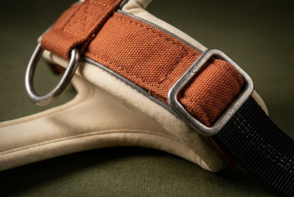 Harnais Canicross Cani-VTT — Mains Libres