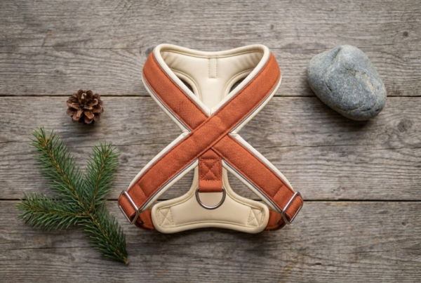 Harnais Canicross Cani-VTT — Mains Libres