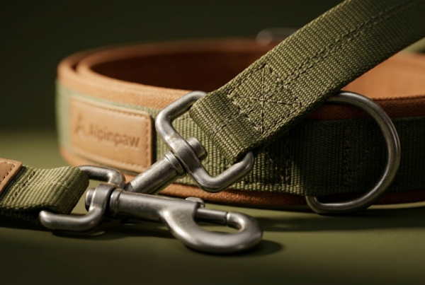 Laisse Bungee Canicross 2.8m — Trail Master