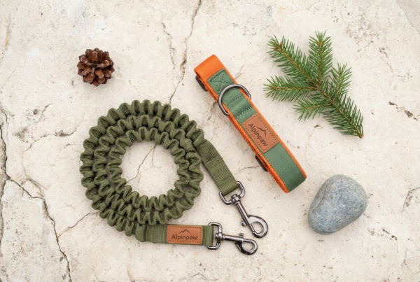 Laisse Bungee Canicross 2.8m — Trail Master