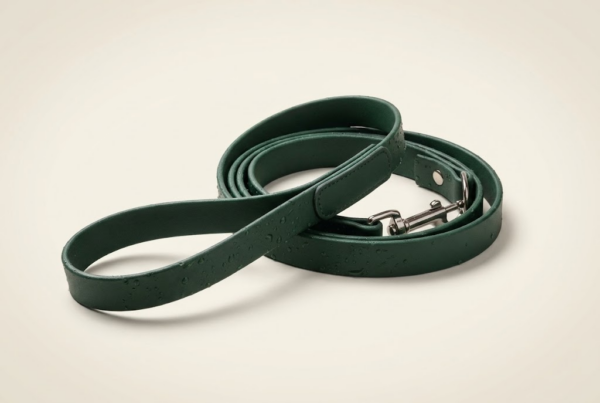 Laisse Biothane Waterproof 1.8m — Rando All-Weather