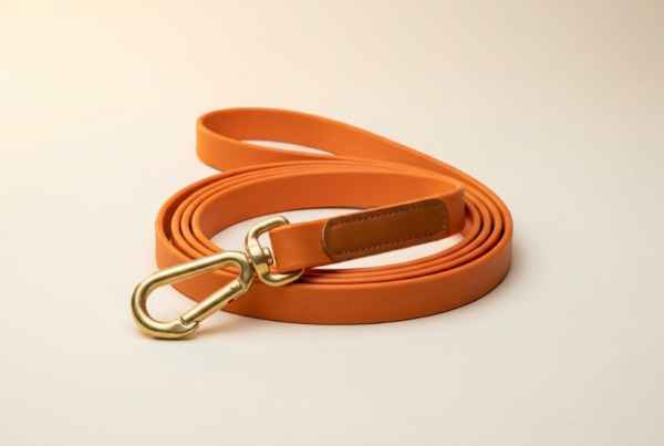 Longe de Suivi 10m — Forêt & Éducation