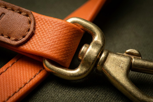 Longe de Suivi 10m — Forêt & Éducation