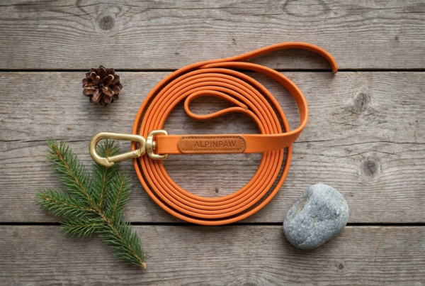 Longe de Suivi 10m — Forêt & Éducation