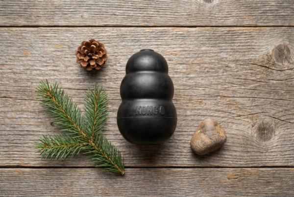 Kong Extreme Classic — Le Jouet Indestructible Original