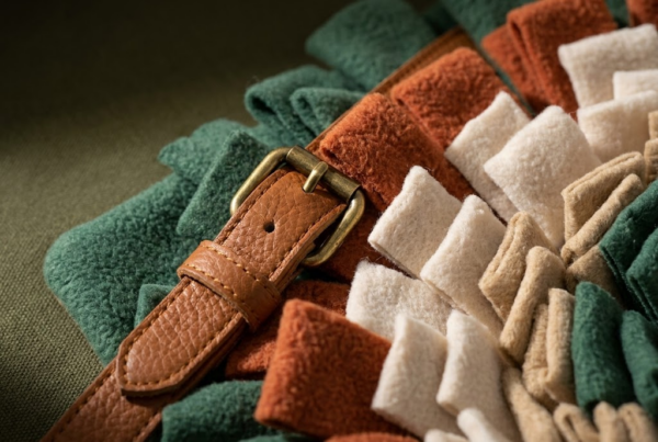 Tapis de Fouille Snuffle Mat — Anti-Ennui Mental