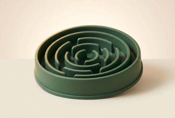 Gamelle Anti-Glouton Silicone XL — Évite la Torsion d'Estomac