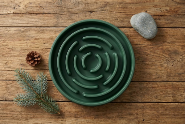 Gamelle Anti-Glouton Silicone XL — Évite la Torsion d'Estomac