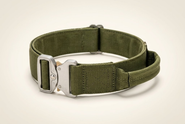 Collier Tactique K9 à Poignée — Boucle Cobra Acier