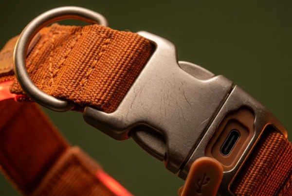 Collier LED Rechargeable USB — Visible à 500m