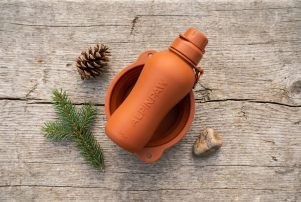 Gourde Nomade + Bol Intégré 500ml — Silicone