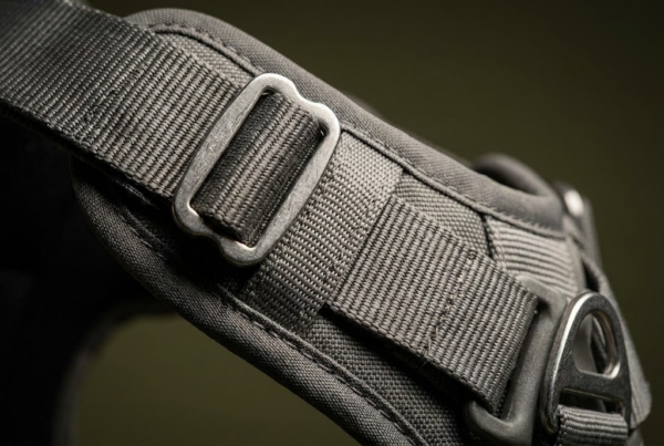 Harnais de Voiture Homologué ECE-R17 — Trajet Sûr