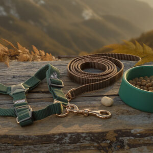 Pack Premier Sentier — Y-Harness + biothane + gamelle