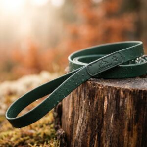 Laisse Biothane Waterproof 1.8m — Rando All-Weather