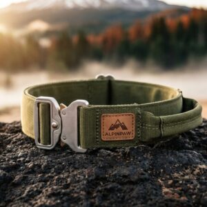 Collier Tactique K9 à Poignée — Boucle Cobra Acier