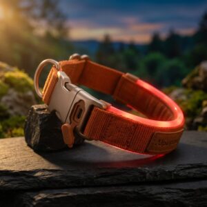 Collier LED Rechargeable USB — Visible à 500m