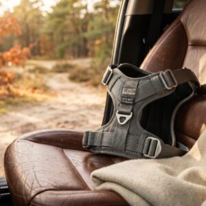 Harnais de Voiture Homologué ECE-R17 — Trajet Sûr