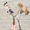 HTB156q4X2BNTKJjy1zdq6yScpXad.webp Laisse cuir multi-positions pour chien actif