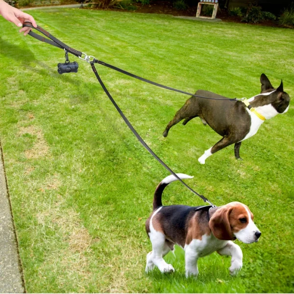 HTB16gxGhN3IL1JjSZPfq6ArUVXaL.webp Laisse cuir multi-positions pour chien actif