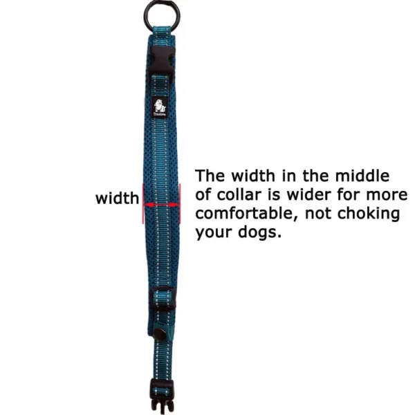 Set collier + laisse Truelove nylon rembourré pour chien