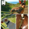 Set collier + laisse Truelove nylon rembourré pour chien