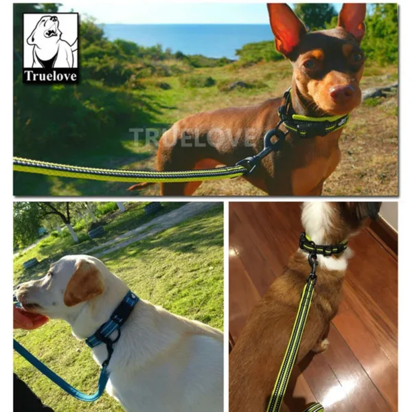 Set collier + laisse Truelove nylon rembourré pour chien