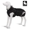 Manteau imperméable Truelove réfléchissant pour chien