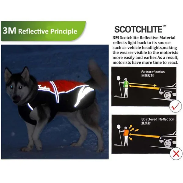Manteau imperméable Truelove réfléchissant pour chien