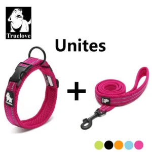 Set collier + laisse Truelove nylon rembourré pour chien