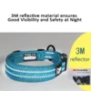 Set collier + laisse Truelove nylon rembourré pour chien