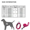Set collier + laisse Truelove nylon rembourré pour chien