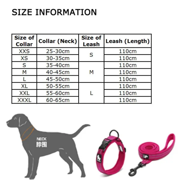 Set collier + laisse Truelove nylon rembourré pour chien