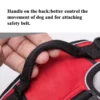 HTB1vSGQanXYBeNkHFrdq6AiuVXak.webp Harnais tactique réfléchissant pour chien actif