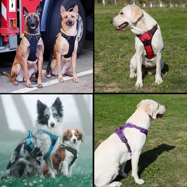 S11c878c7d7ab4b2cb3cb0021c6db73187.webp Harnais tactique réfléchissant pour chien actif