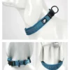S799b9d6560914ca68e018125eec0fe0dK.webp Collier Truelove rembourré réfléchissant 3M pour chien